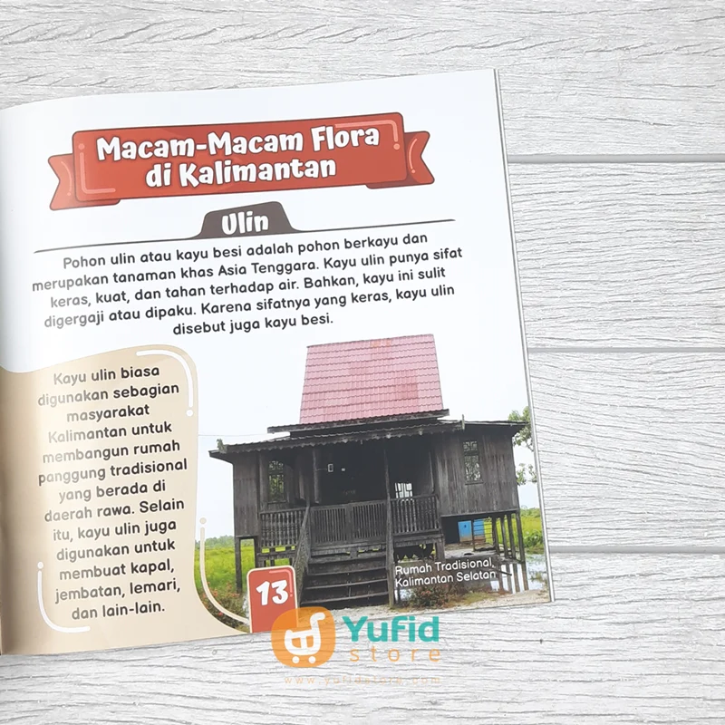 BUKU ANAK MUSLIM MENGENAL INDONESIA JILID 4 KALIMANTAN (ATTUQA KIDS) - Image 8