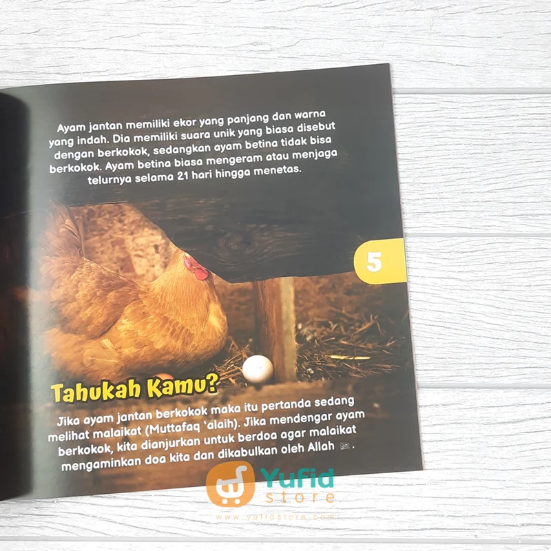 BUKU ENSIKLOPEDI HEWAN SERI 10 (AT-TUQA KIDS) - Image 5