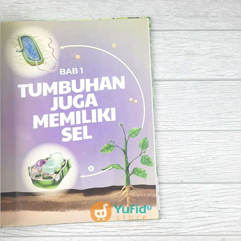 BUKU ENSIKLOPEDIA ANAK MUSLIM CERDAS 2 - TUMBUHAN (GEMA INSANI) - Image 4