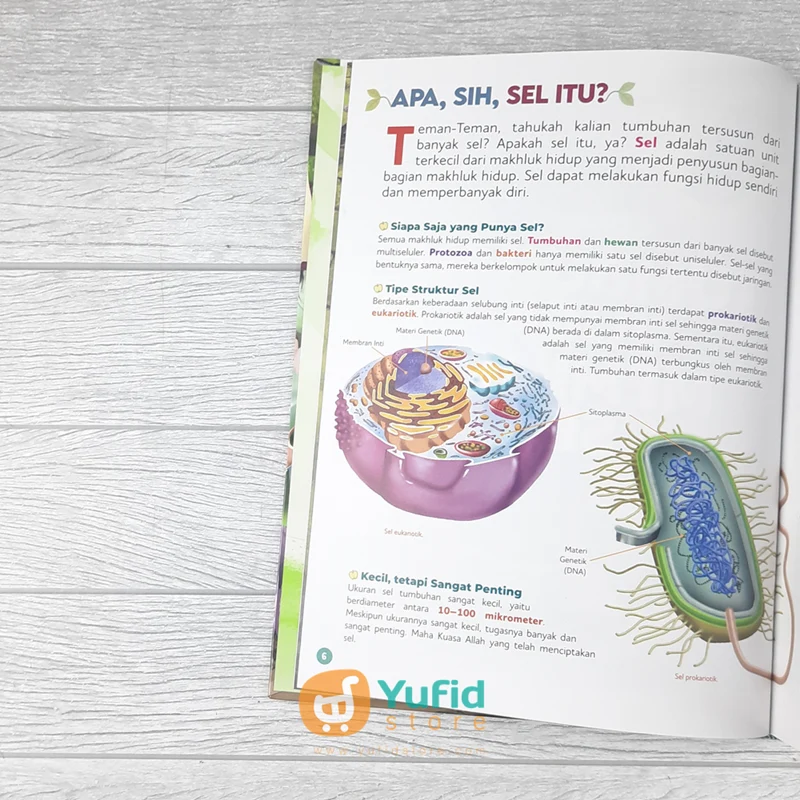 BUKU ENSIKLOPEDIA ANAK MUSLIM CERDAS 2 - TUMBUHAN (GEMA INSANI) - Image 5