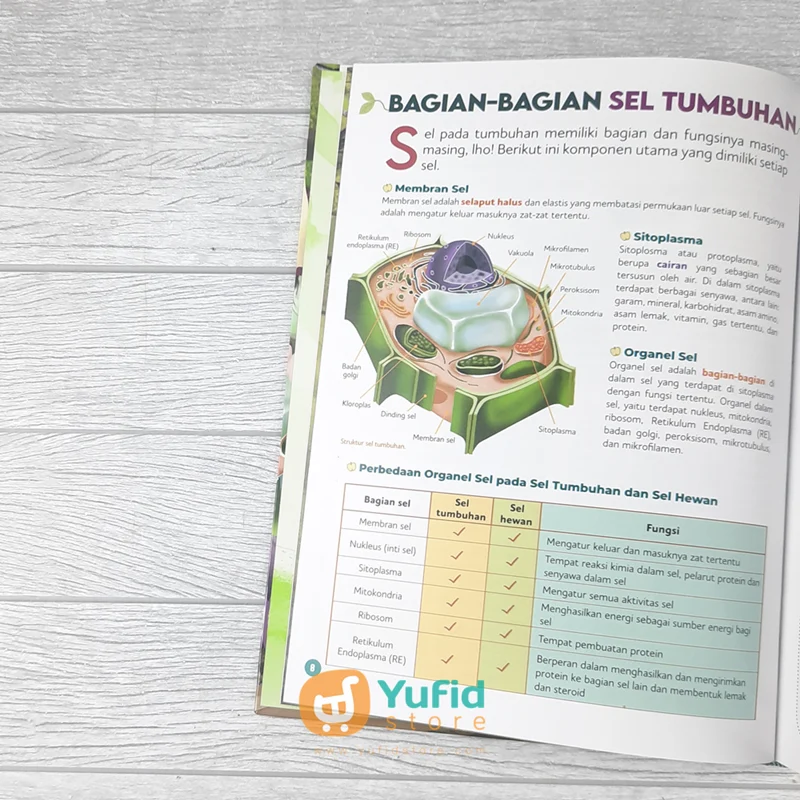 BUKU ENSIKLOPEDIA ANAK MUSLIM CERDAS 2 - TUMBUHAN (GEMA INSANI) - Image 6