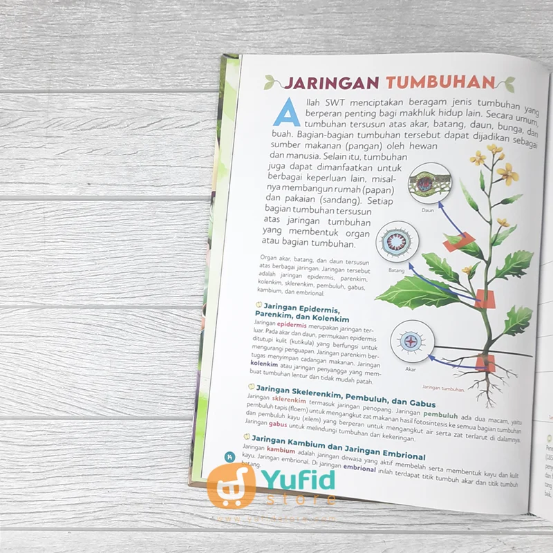 BUKU ENSIKLOPEDIA ANAK MUSLIM CERDAS 2 - TUMBUHAN (GEMA INSANI) - Image 8