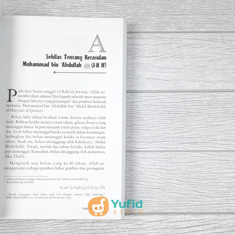 BUKU INILAH FAKTANYA MELURUSKAN SEJARAH UMAT ISLAM SEJAK WAFAT NABI (PUSTAKA IMAM ASY-SYAFII) - Image 6