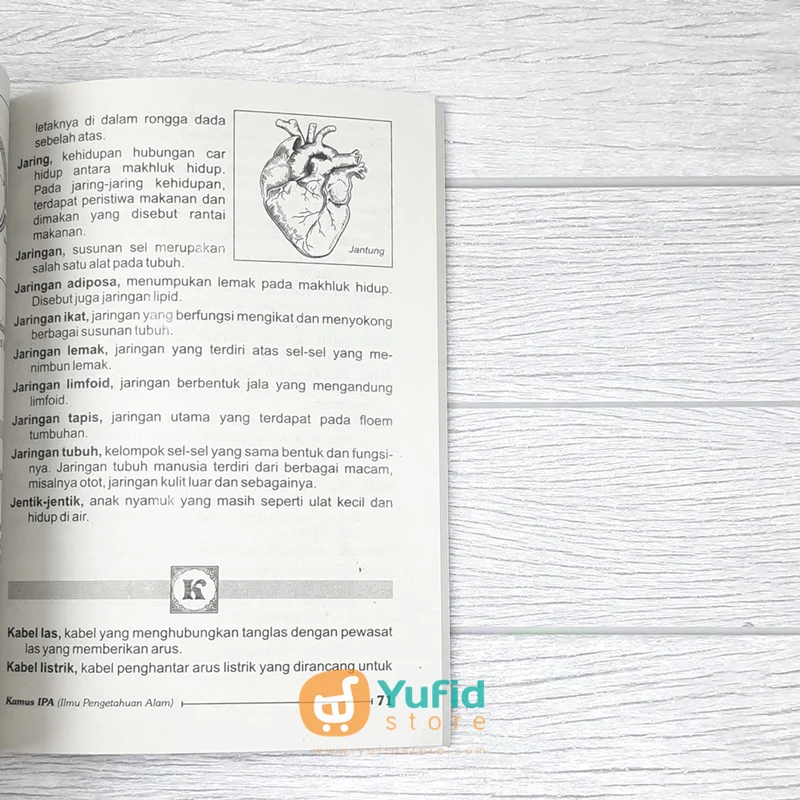 BUKU KAMUS IPA ILMU PENGETAHUAN ALAM UNTUK SD (MEDIA MANDIRI) - Image 8