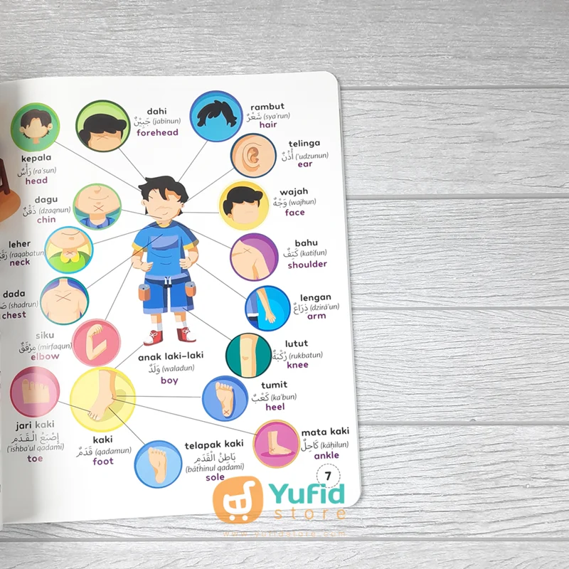 BUKU MY FIRST 500 ENGLISH AND ARABIC WORDS 3 BAHASA (MAALIK KIDS) - Image 6