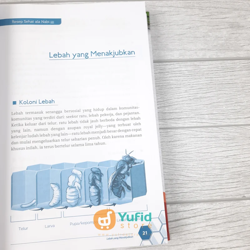 Buku Resep Sehat Ala Nabi (Aqwam) - Image 9