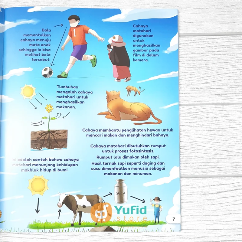 BUKU SERI SAINS UNTUK ANAK 2 IN 1 - CAHAYA DAN MORFOLOGI TUMBUHAN (AHLAN) - Image 8