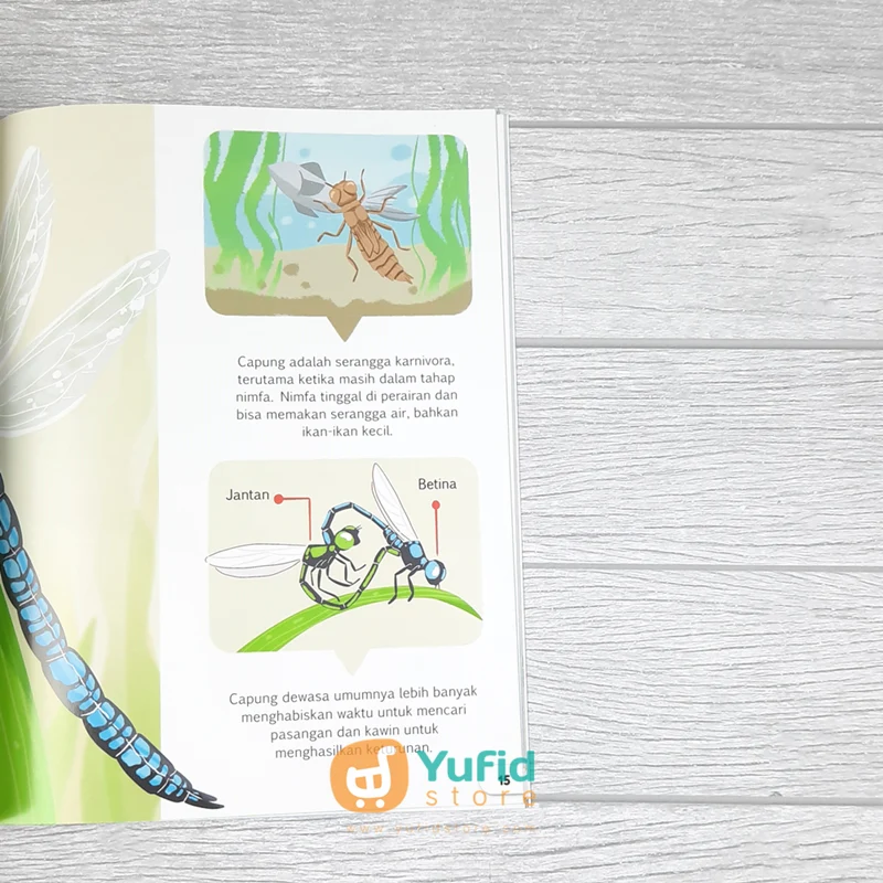 BUKU SERI SAINS UNTUK ANAK - DAUR HIDUP MAKHLUK HIDUP (AHLAN) - Image 8