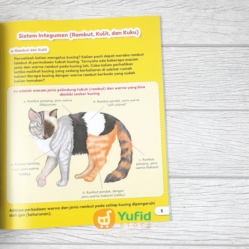 BUKU SISTEM ORGAN HEWAN DAN FUNGSINYA (AHLAN) - Image 5
