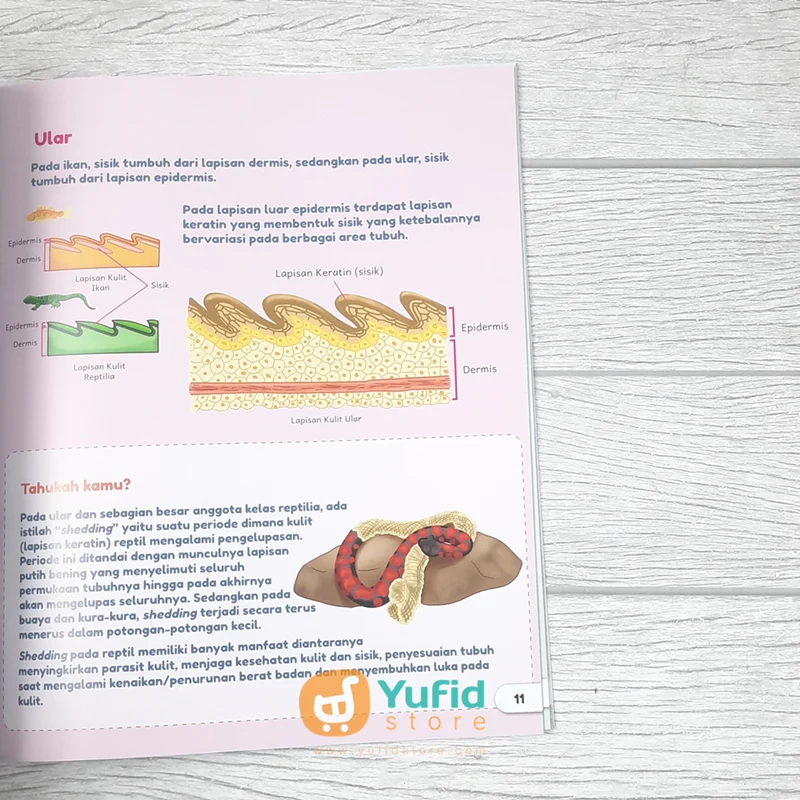 BUKU SISTEM ORGAN HEWAN DAN FUNGSINYA (AHLAN) - Image 8
