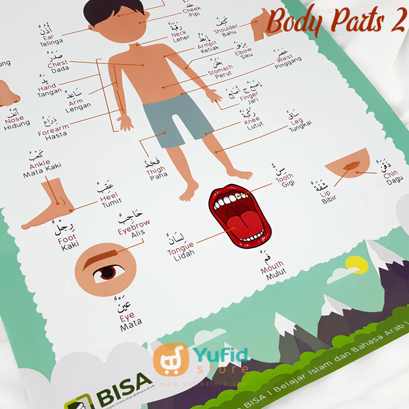 Poster Kosakata 3 Bahasa (Arab, Inggris, dan Indonesia) - Image 17